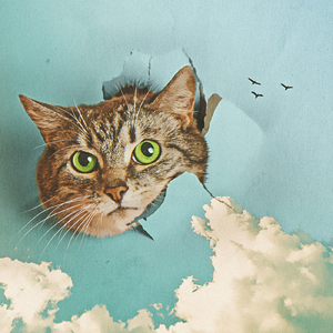 灌醉下药迷昏强奸在线播放
