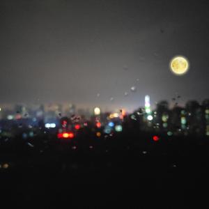 灌醉下药迷昏强奸在线播放
