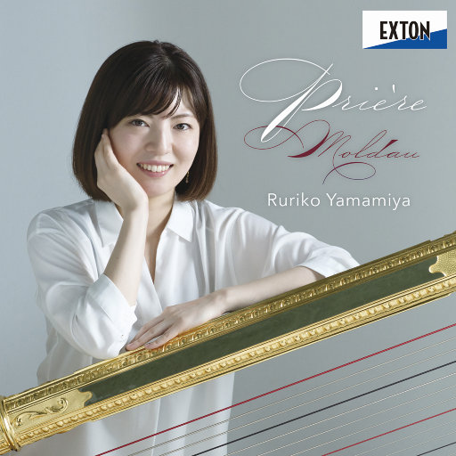 灌醉下药迷昏强奸在线播放
